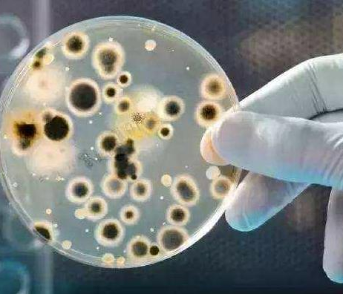 海里发现新冠病毒/海里发现新冠病毒了吗