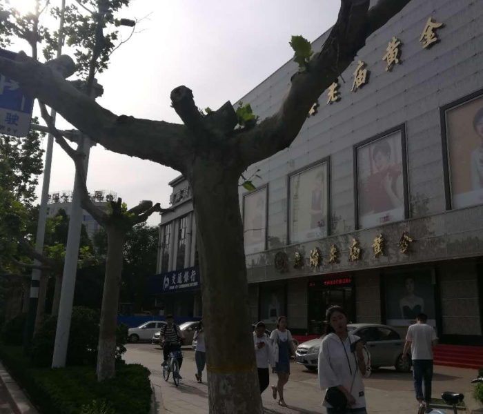 【郑州疫情流调已全部完成,郑州病例流调】