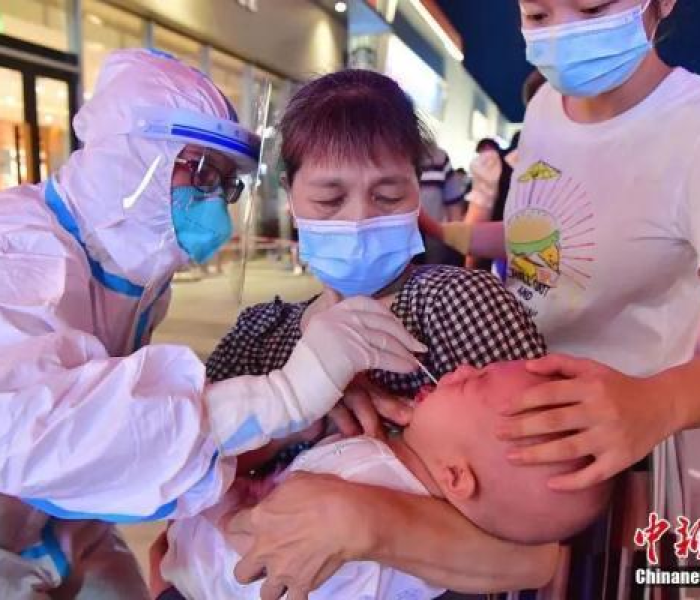 31省增19例本土8例:31省增81例本土确诊