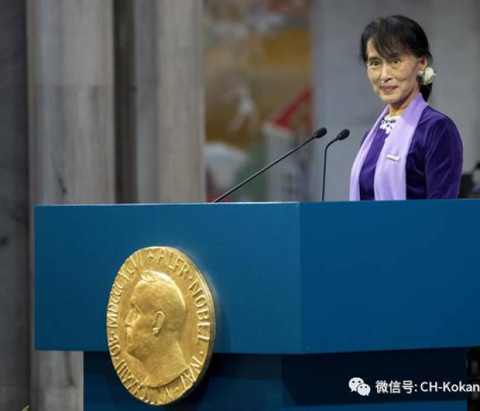 缅甸扣押总统原因:缅甸扣押了什么人