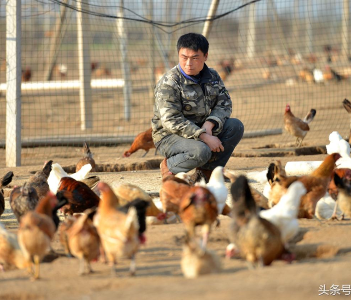 北京河北隔离墙/河北隔离区在哪