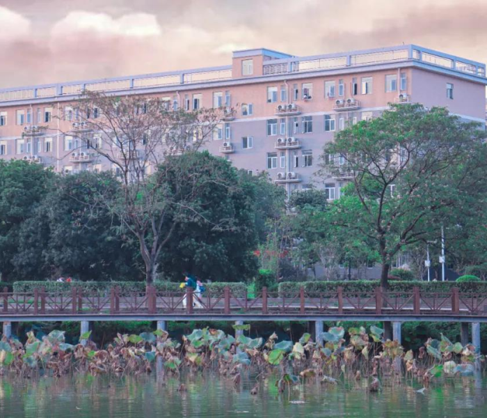 2021年春节假期法定节假日（2021年春节 法定假期）