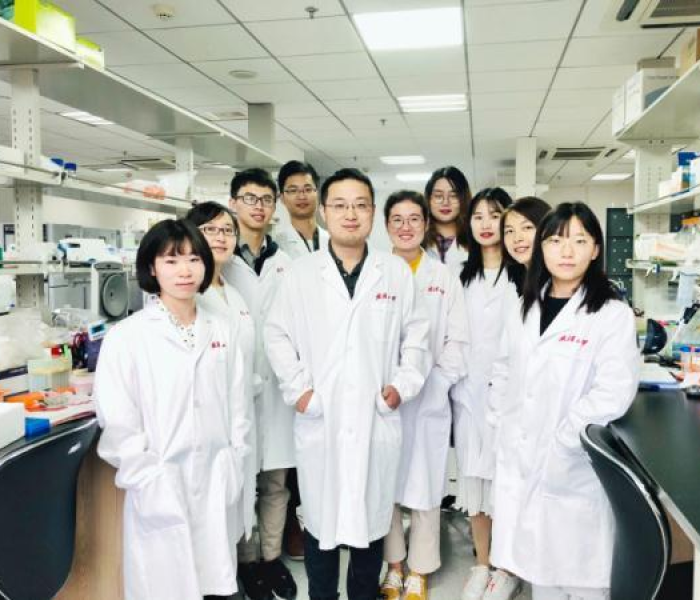 武汉市这次核酸检测结果不公开查询吗?:武汉新冠核酸结果查询不了怎么办