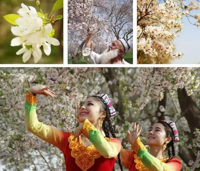 【喀什市公交车/喀什市公交车路线】