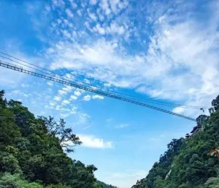 广东疫情数据报告（广东疫情数据实时追踪）