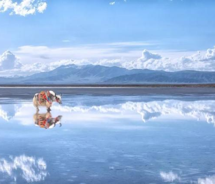 【新疆疫情最新,新疆疫情最新情况今日新增多少】