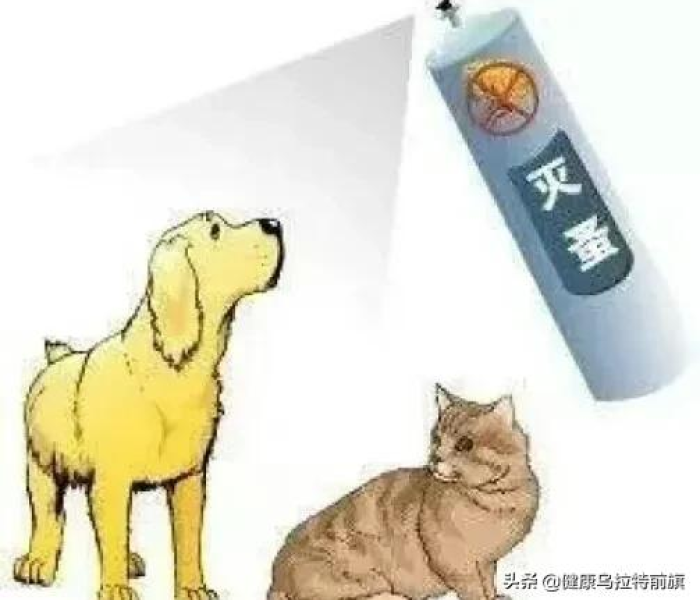 秒懂百科“微信斗牛房卡怎么弄”房卡获取方式