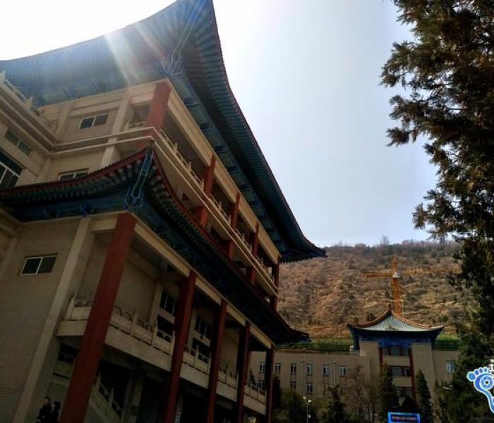 西北民族大学图书馆，在书页间听见黄河与沙漠的对话