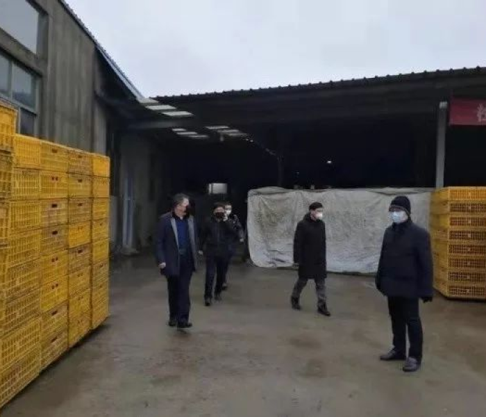 高邮市最新疫情:高邮市最新疫情最新消息 高邮市最新疫情:高邮市最新疫情最新消息