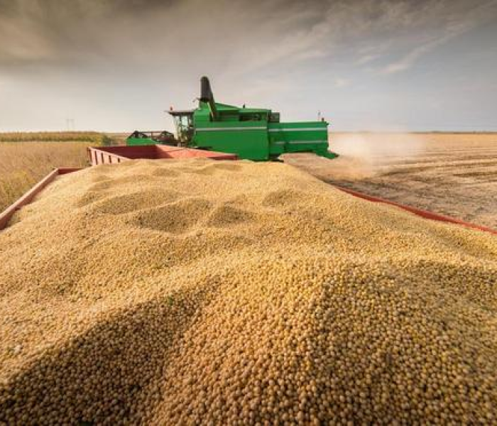 印度疫情死亡700万（印度疫情死亡人数激增）