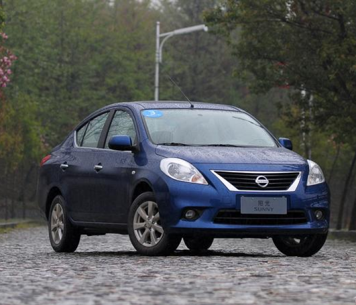 【全国人代会议/全国人代会议程】