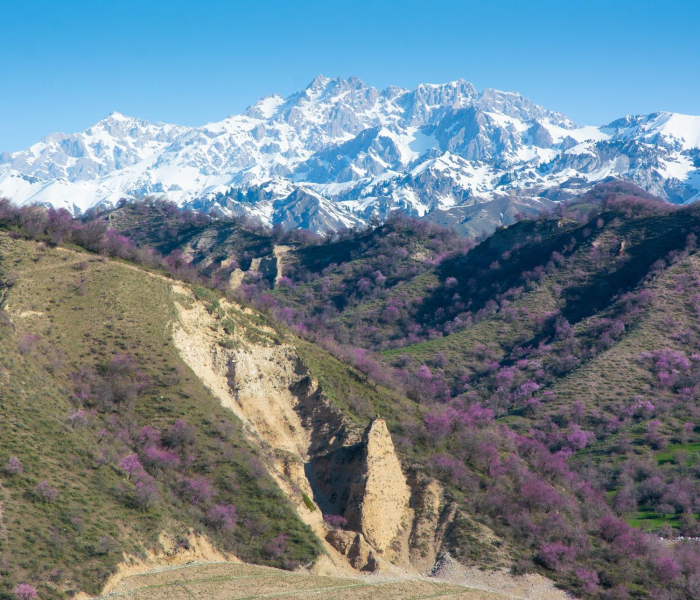 新疆中考成绩什么时间公布2022年/新疆中考成绩什么时间公布2022年级