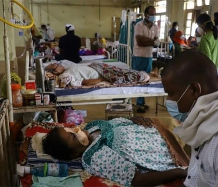 【印度毛霉菌病能活多久/印度毛霉菌病爆发】 【印度毛霉菌病能活多久/印度毛霉菌病爆发】