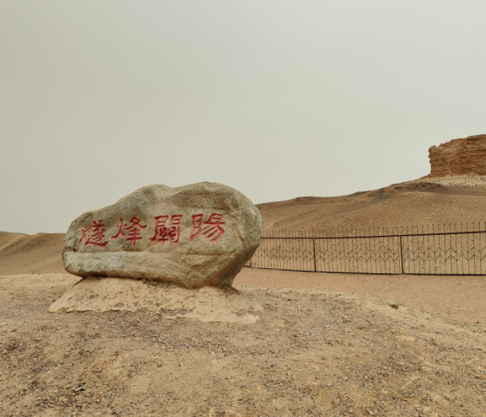 高宇婷是谁:高宇婷大么