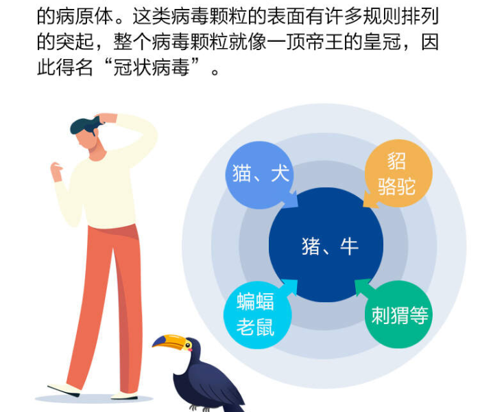 【冠状病毒怎么回事/冠状病毒是怎么回事】 【冠状病毒怎么回事/冠状病毒是怎么回事】