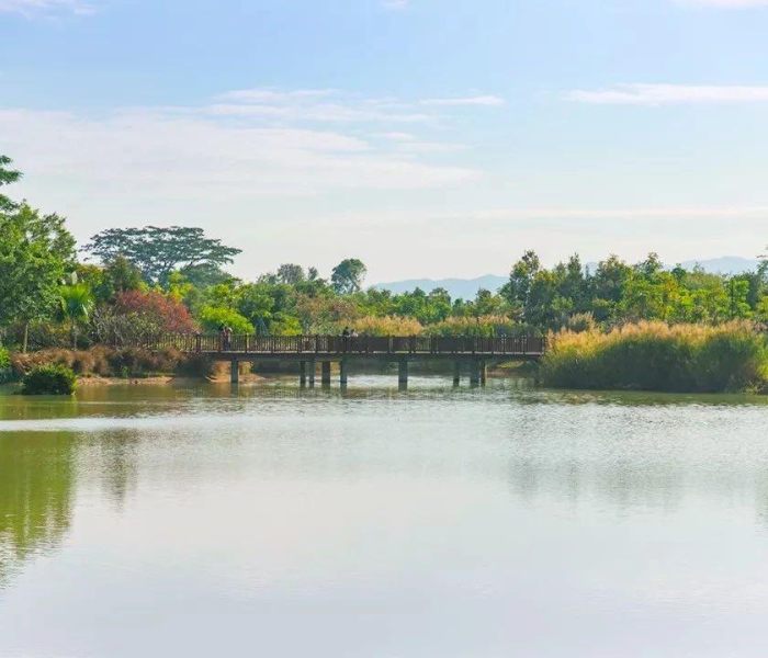 【中国的疫情什么时间能结束啊/中国疫情什么时候能彻底结束最新消息】