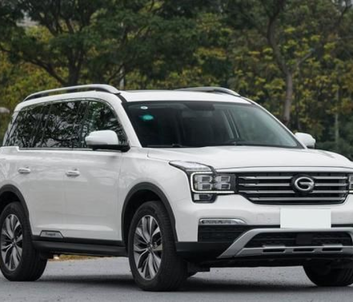 登革热是哪类传染病甲类乙类丙类/登革热是哪类传染病