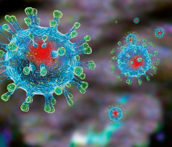 新型冠状病毒又出现了吗:新型冠状病毒是不是又发生了