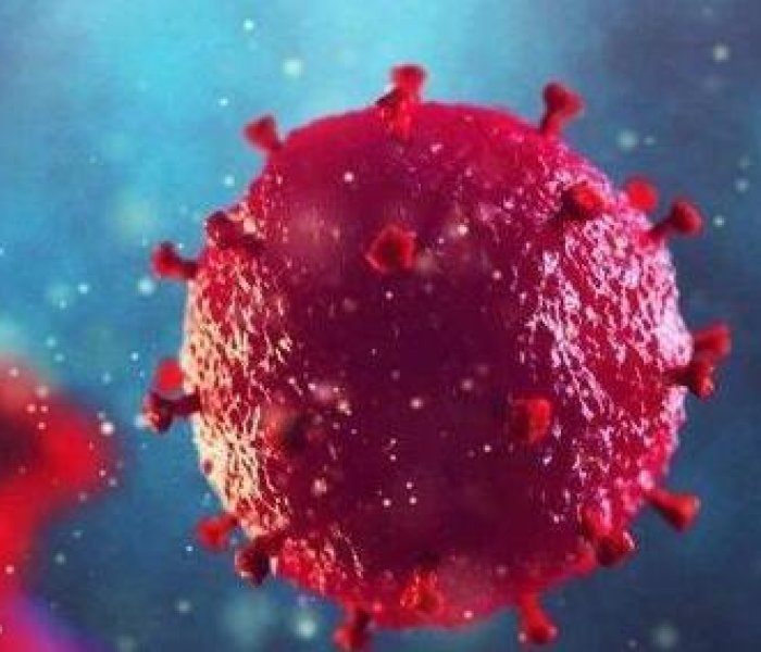 新型冠状病毒又出现了吗:新型冠状病毒是不是又发生了