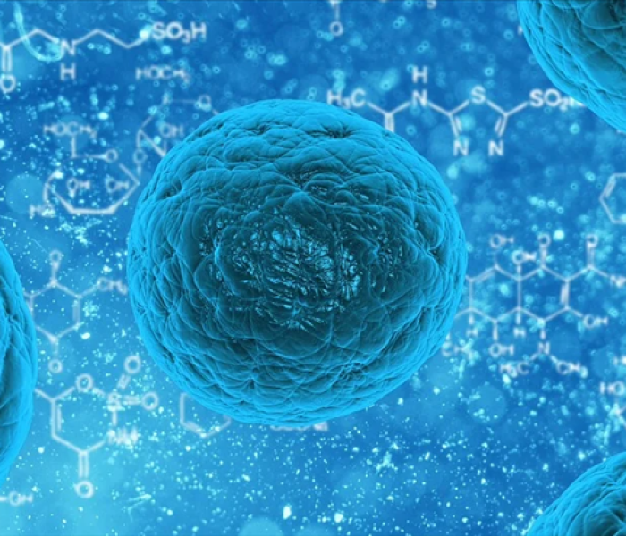 中国发现新型猪流感病毒是不是真的/中国发现新型猪流感病毒是不是真的了