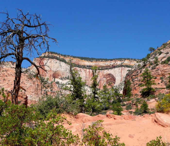 辽宁多次检测阴性（辽宁阳性）