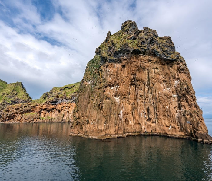 莱芜疫线直击,今日防控新部署与市民生活全景扫描,这些变化需知晓 莱芜疫线直击,今日防控新部署与市民生活全景扫描,这些变化需知晓