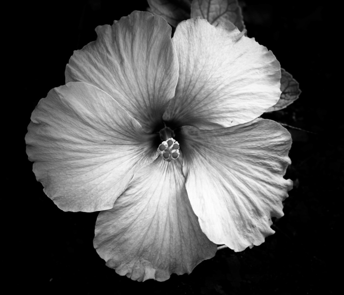 秒懂百科“15元100张房卡代理”轻松获取房卡全渠道