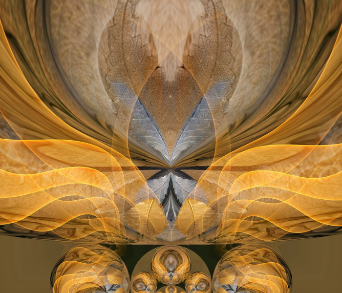 请问坐火车要核酸检测吗:坐火车需要核酸检测结果吗?