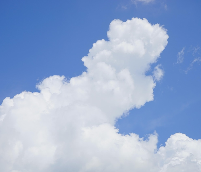 房卡必备教程“牛魔王金花牛牛房卡”详细房卡教程