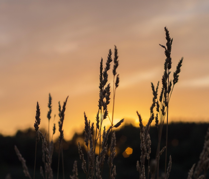 【河北部分地区/河北部分地区今起三天大风连着吹 局地阵风可达9级】