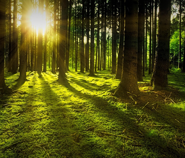 再见2020你好2021的励志说说/再见2020,你好2021的说说