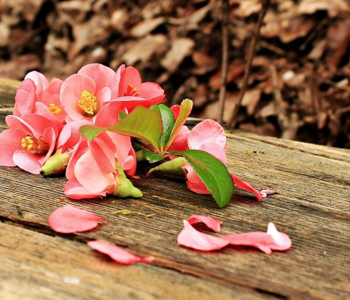 【手机qq游戏图标在哪/游戏图标怎么在桌面看不到】