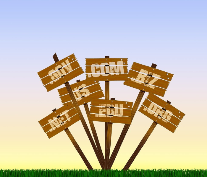 2024年的奥运会举办国/2024年奥运会举办国是哪个国家