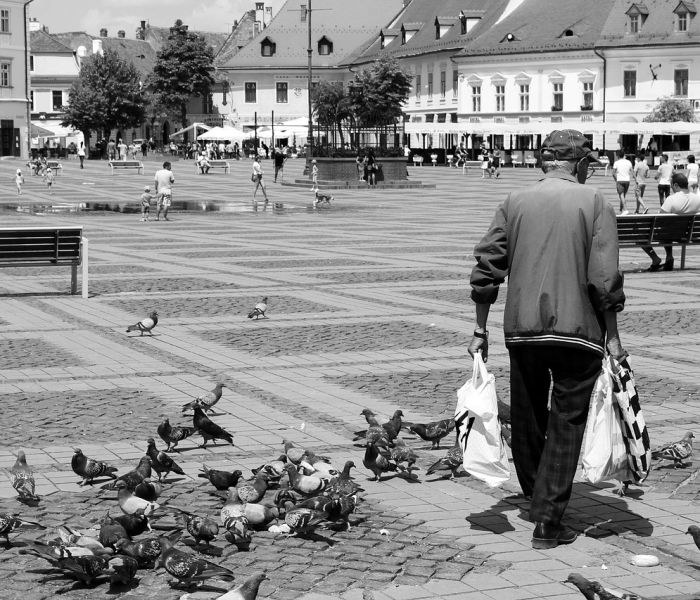【美国疫情死亡人数中有多少白人/美国疫情死了多少白人】