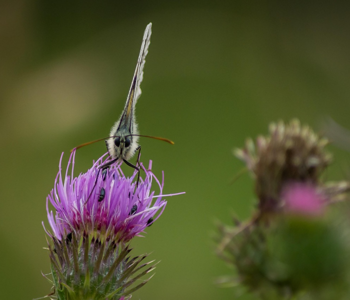 win732位内存补丁:32位win7内存破解补丁