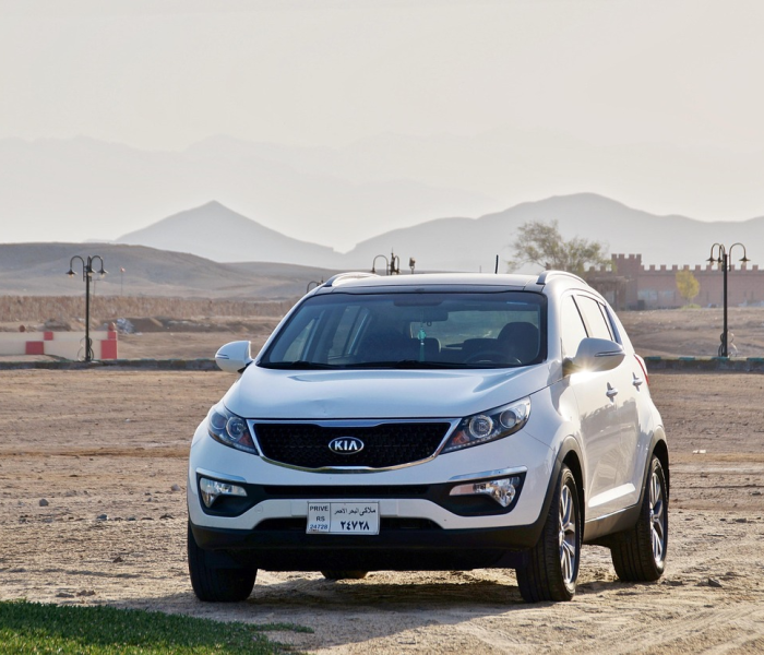 江苏昨日新增多少例本土确诊/江苏昨日新增多少例本土确诊病例