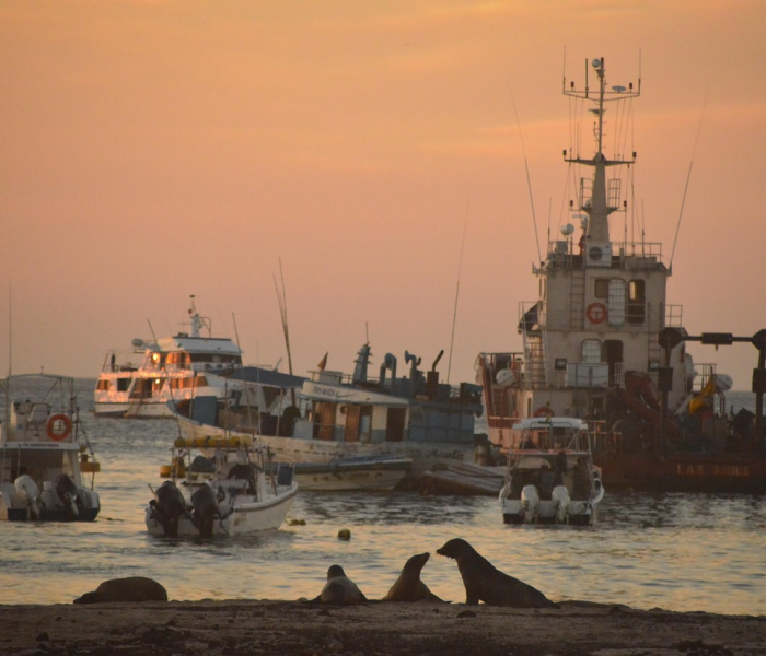 河北省疫情造价调整文件/河北省疫情造价调整文件通知