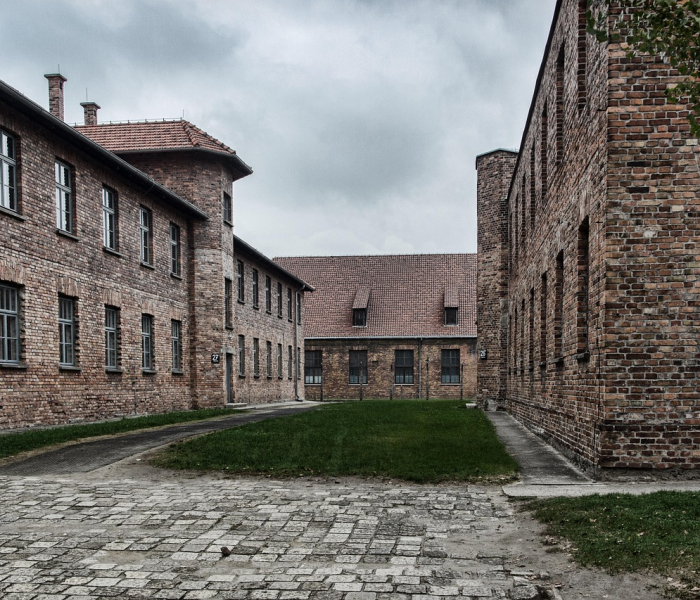 菜百今日金价475元:菜百实时金价查询