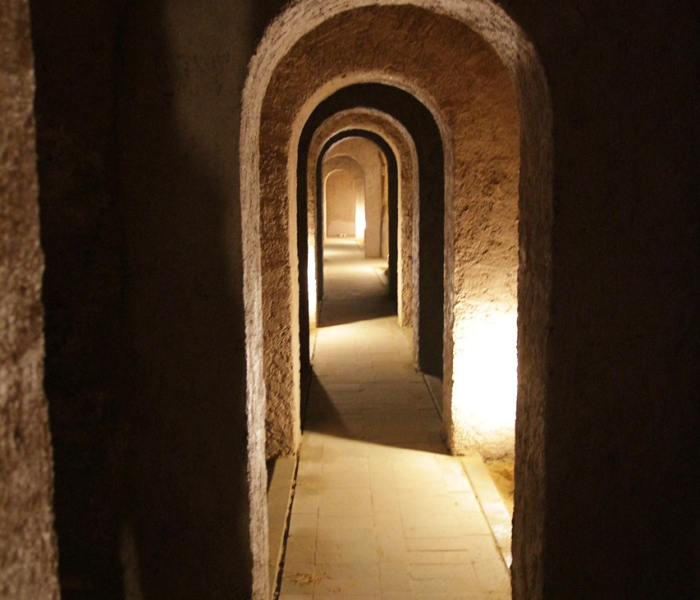 【临沂地震带叫什么/临沂地震断裂带】