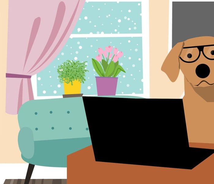 一分钟了解“微信老神兽大厅房卡充值”获取房卡教程-哔哩哔哩