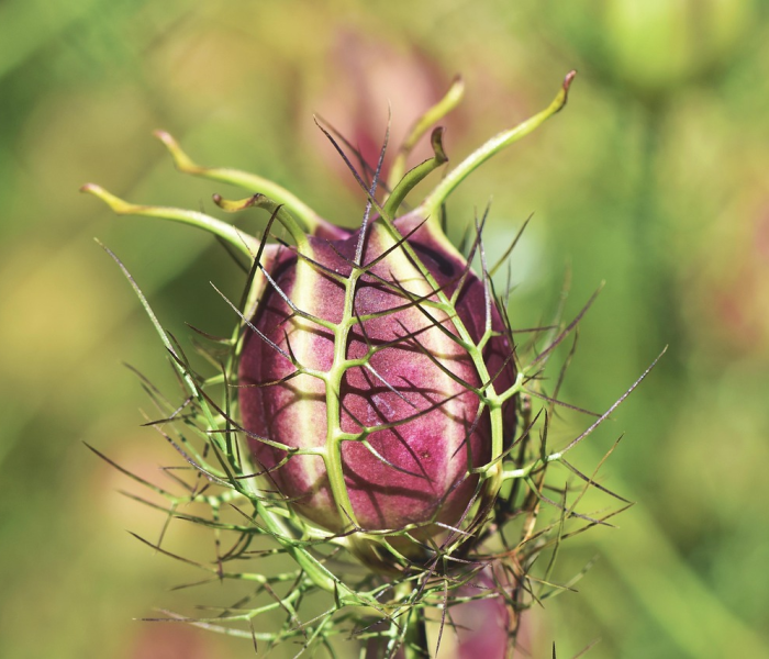 房卡全攻略“皇豪大厅牛牛房卡”详细房卡教程