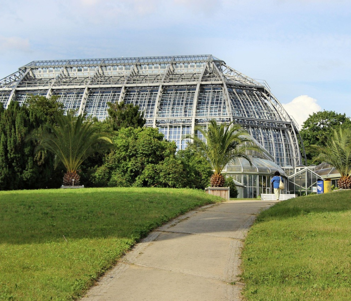 西安此次疫情源头在哪里/西安此次疫情源头