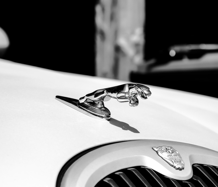 【大众TERAMONT是啥车,大众字母teramont 什么车】