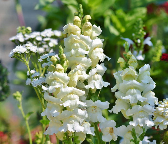 【浙江疫情严重原因/浙江疫情严重到什么程度?】