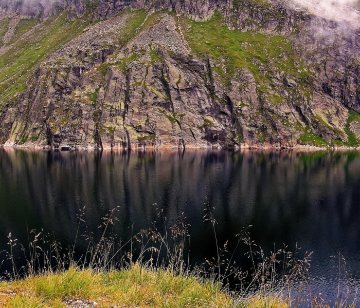 房卡必备教程“微信斗牛链接在哪买”详细房卡怎么购买教程 房卡必备教程“微信斗牛链接在哪买”详细房卡怎么购买教程