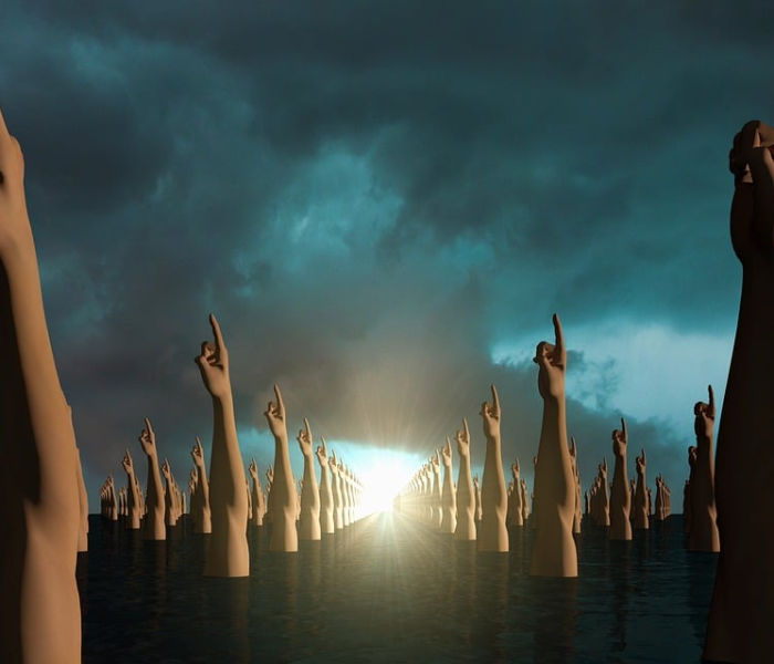 公牛bbs/公牛BBSO成立时间