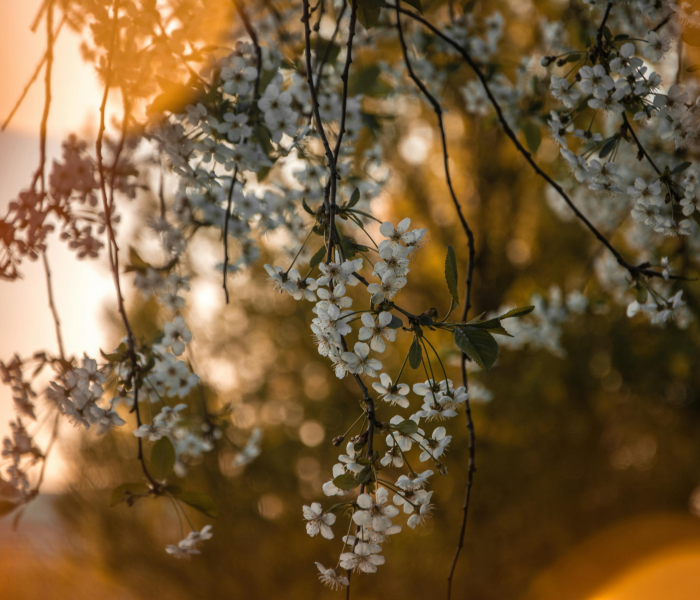 4月4号几点进清明/4月4号几点进清明节
