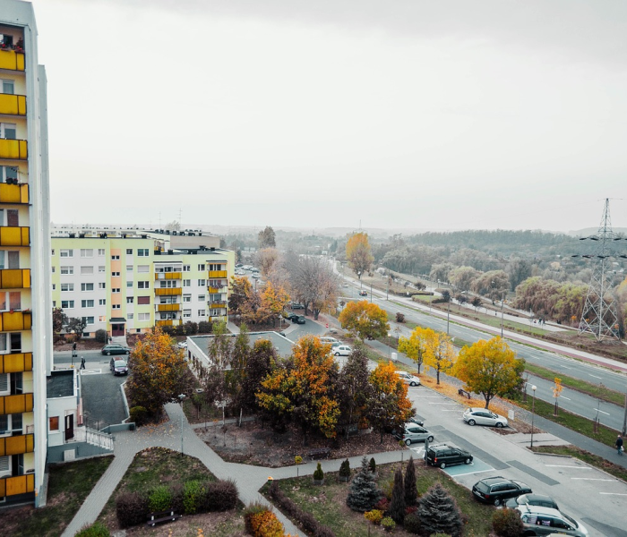 社区传播和聚集性传播（社区传播啥意思）