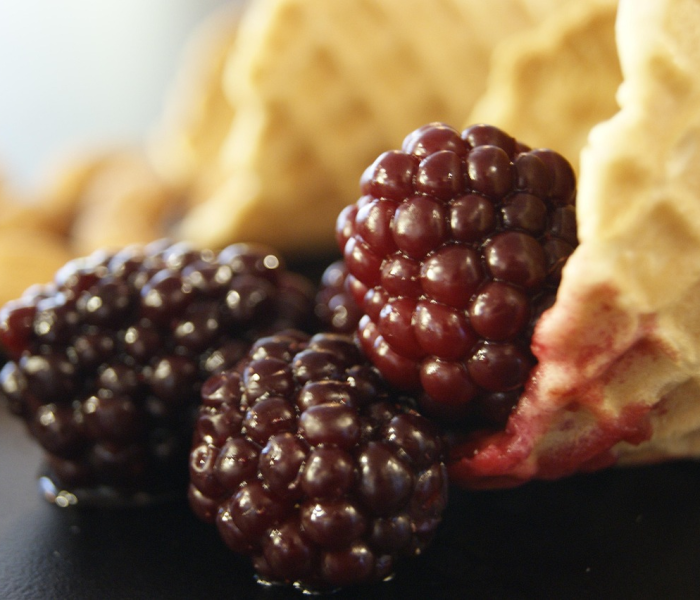 给大家讲解“房卡代理的购买方式”详细房卡教程