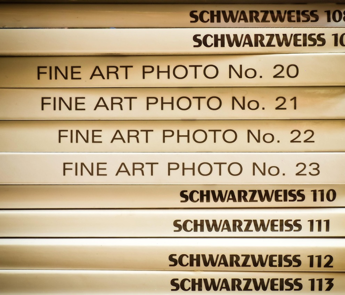 王新刚安阳:安阳王新刚个人资料简介 王新刚安阳:安阳王新刚个人资料简介